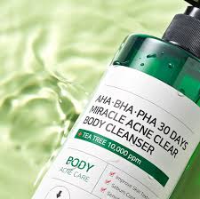 Some By Mi -AHA BHA PHA 30 Days Miracle Acne Body Cleanser - Bambi Glow